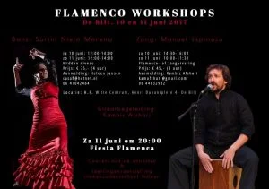 dans en zangworkshop flyer de Bilt