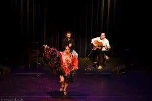 Flamenco optreden boeken met dans en zang