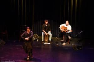Flamenco optreden boeken met dans en zang