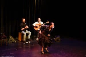 Flamenco optreden boeken