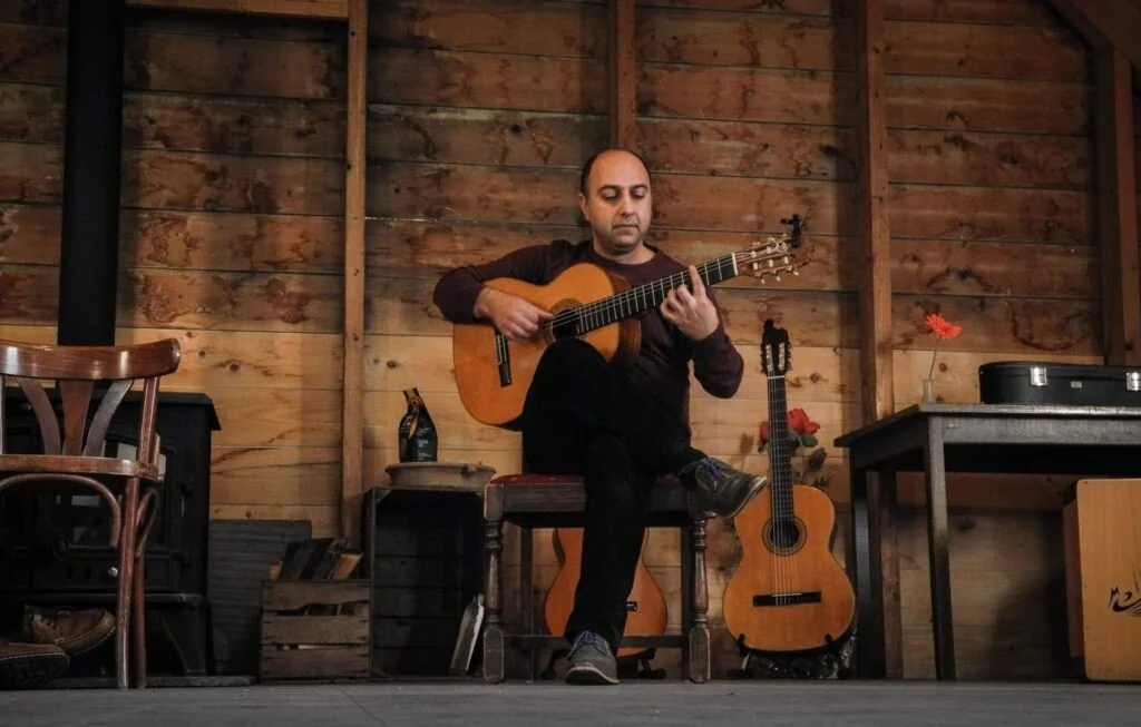 Gitarist boeken