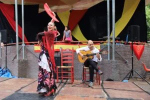 Gitarist en danseres boeken
